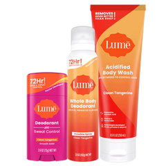 Lume Hits Bundle Item